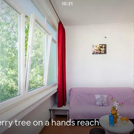 Home4 Rent Apartment Dubrovnik