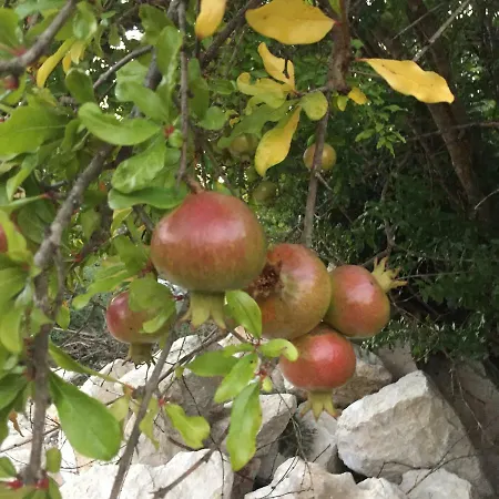 Lägenhet Home4 Rent Dubrovnik